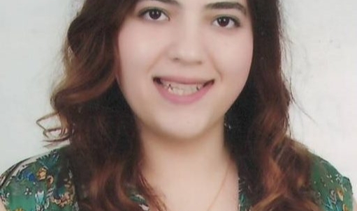 Uşak Üniversitesi Dr. Öğr. Üyesi Cemile Kübra Zeybek 2-8 KASIM LÖSEMİLİ ÇOCUKLAR HAFTASI Sunumu Derledi