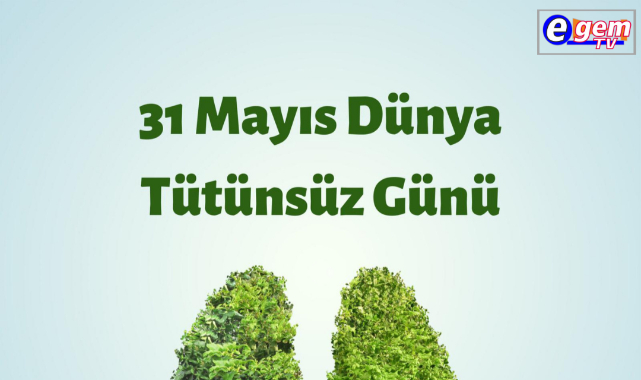 31 MAYIS DÜNYA TÜTÜNSÜZ GÜNÜ