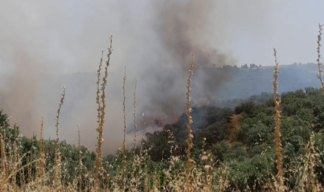 Eşme'de Makilik Alanda Yangın