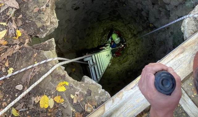 Kuyuya Düşen Buzağıyı Kurtarmak İçin Seferber Oldular