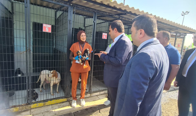 4 Ekim Dünya Hayvanları Koruma Günü Kapsamında Sokak Hayvanları Geçici Bakımevi’nde Etkinlik Düzenlendi