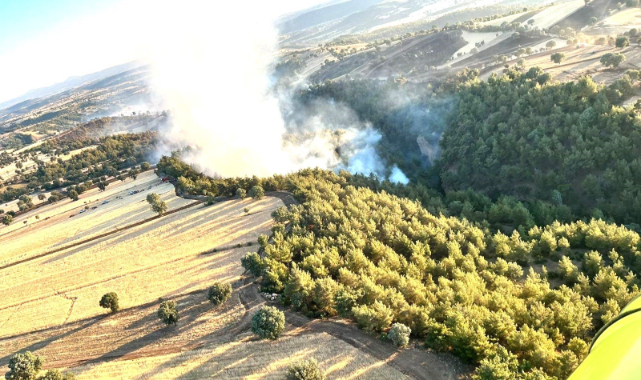 Kütahya'daki yangında 60 hektar ormanlık ve 50 hektarlık ziraat alanı zarar gördü