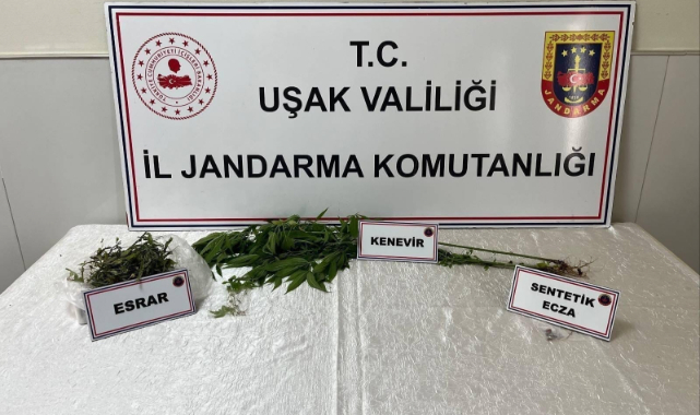 Uşak’ta jandarma ekiplerince uyuşturucu operasyonu