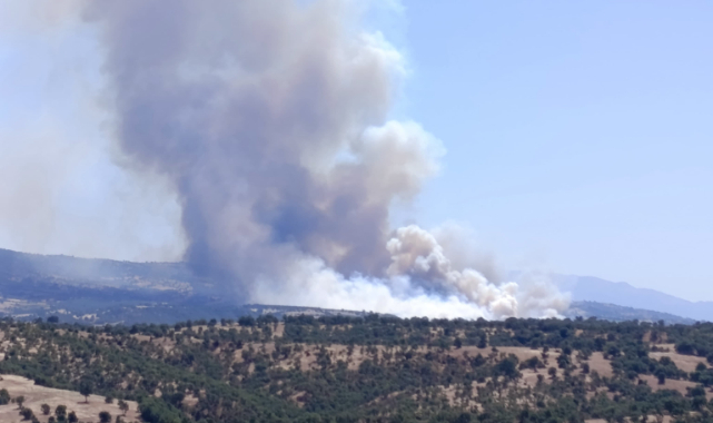 Uşak'ta orman yangını ile ilgili 2 kişi tutuklandı