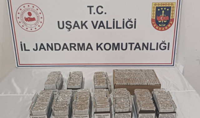 Jandarma'dan Eşme'de Operasyon