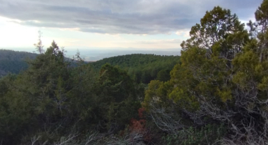 Bulkaz Dağı'nda Altın Madeni Tartışması: 