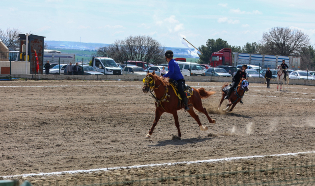 Cirit müsabakasında feci kaza: 1 sporcu ağır yaralı, at telef oldu