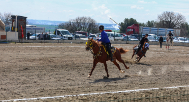 Cirit müsabakasında feci kaza: 1 sporcu ağır yaralı, at telef oldu