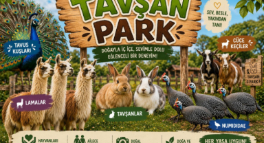 Doğayla İç İçe Yepyeni Bir Deneyim: Tavşan Park Açılıyor!
