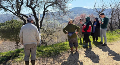 Simav’da üreticilere zirai don uyarısı