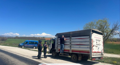 Karahallı’da Kurban Bayramı Öncesi Hayvan Sevk Denetimleri Sürüyor