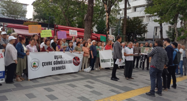 TEMA Vakfı’ndan Dünya Çevre Günü Mesajı: “İklim Krizine Karşı Kaybedecek Zamanımız Kalmadı”