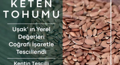 Uşak Keten Tohumu Coğrafi İşaretle Tescillendi