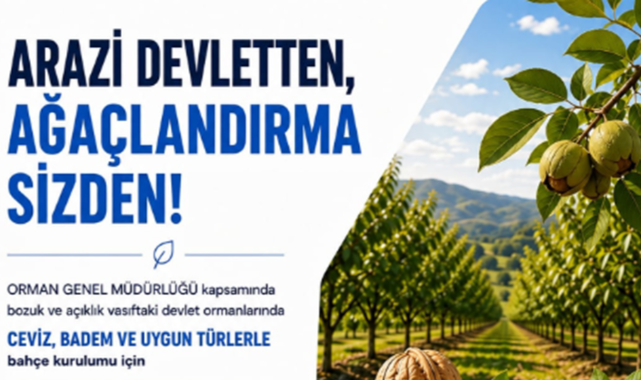 ARAZİ DEVLETTEN, AĞAÇLANDIRMA SİZDEN! 37 İLDE 49 YIL SÜRELİ KİRALAMA FIRSATI