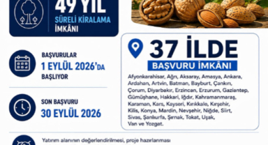 ARAZİ DEVLETTEN, AĞAÇLANDIRMA SİZDEN! 37 İLDE 49 YIL SÜRELİ KİRALAMA FIRSATI
