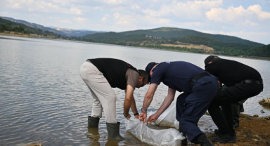 Uşak’ta Göğem Göleti’ne pullu sazan yavruları bırakıldı