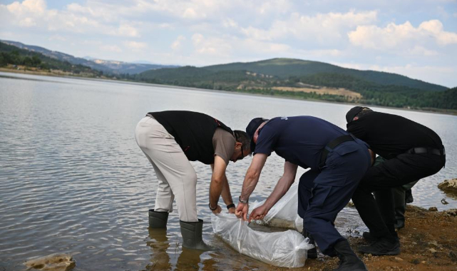 Uşak’ta Göğem Göleti’ne pullu sazan yavruları bırakıldı