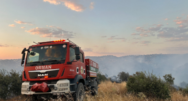 Uşak’ta meşelik ve makilik alanda yangın