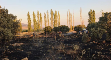 Vatandaş seferber oldu, alevler evlere ulaşmadan durduruldu