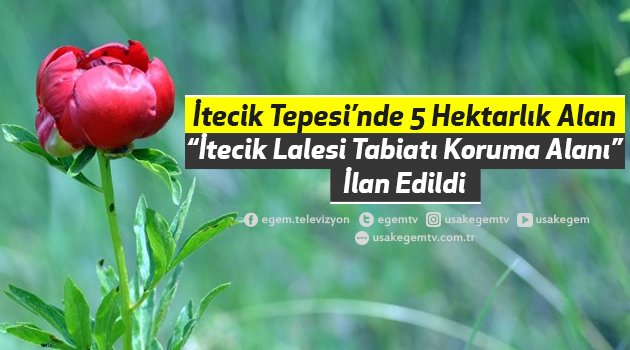İtecik Tepesi’nde 5 hektarlık alan “İtecik Lalesi Tabiatı Koruma Alanı” ilan edildi