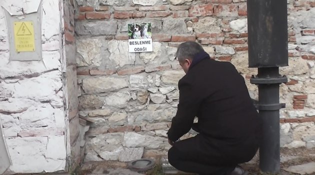 Sokak Hayvanlar İçin Beslenme Odağı...